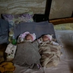 Two newborn boy